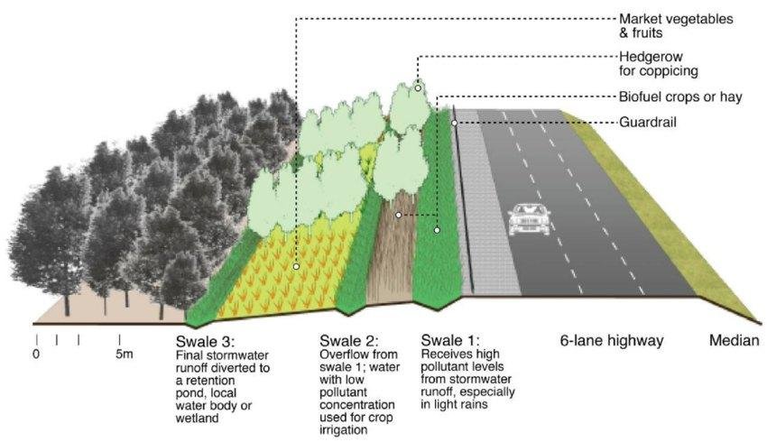DREVO Coastal Green Corridor