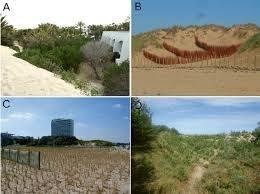DREVO Coastal Green Corridor